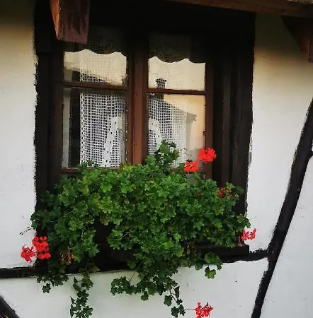 Etno Domacinstvo Miris Bosiljka דירה Mislodin