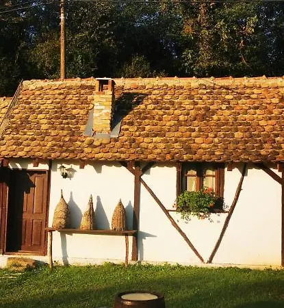 Etno Domacinstvo Miris Bosiljka דירה Mislodin