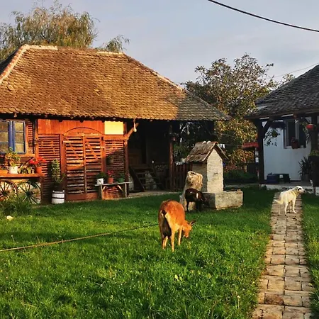 Etno Domacinstvo Miris Bosiljka דירה